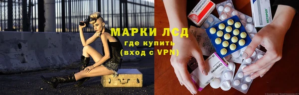 ГАЛЛЮЦИНОГЕННЫЕ ГРИБЫ Абаза