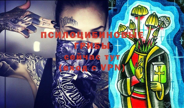 ГАЛЛЮЦИНОГЕННЫЕ ГРИБЫ Абаза