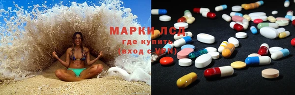 ГАЛЛЮЦИНОГЕННЫЕ ГРИБЫ Абаза