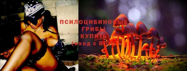 твердый Абинск