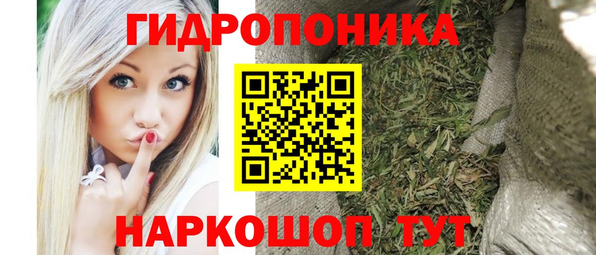 Канабис сатива Кострома